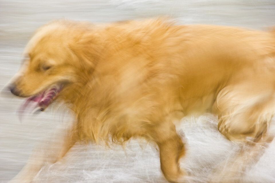 上岸了<br />
