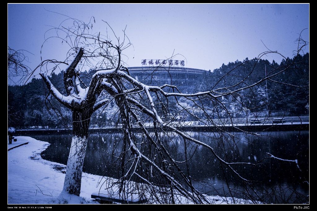 雪后的景陶<br />
