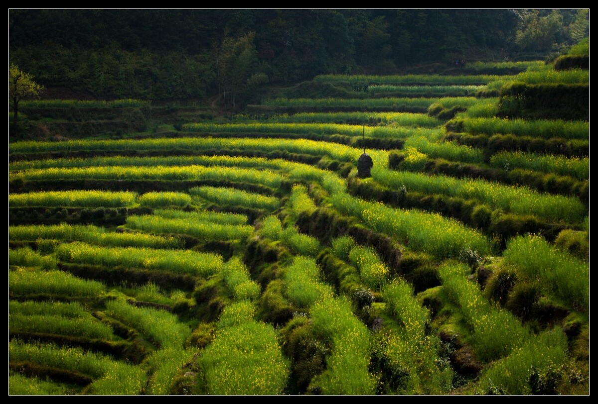 光透过山谷