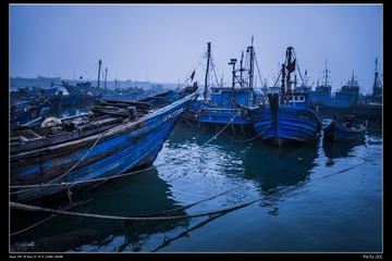 IMG_2834.jpg