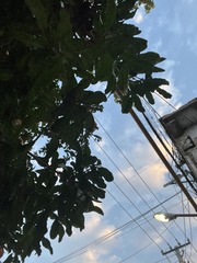 5DA2CC5E-C031-4534-B969-BF06BD8EF3E4/L0/001