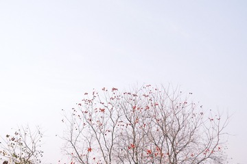 025DB291-BC23-43B9-8F25-A2BF8A914926/L0/001