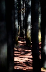 9D8693DF-4DDF-46EF-9C48-980DA5167A5B/L0/001