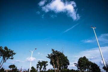 E95848A1-E2F7-47B3-A625-F277F9EC468E/L0/001
