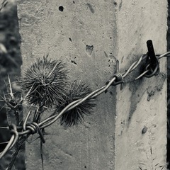E538219C-55CD-4DDE-A7C7-B4A610B98566/L0/001