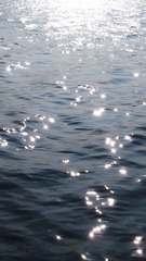 86DA3F51-421C-4B40-AB88-E8F9DF078491/L0/001