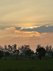 736223EE-F152-4C46-BC2B-F3B3B6C5AC77/L0/001