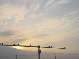 596608