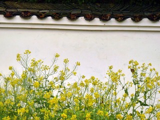 p1160295_副本.jpg