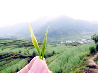 p1160976_副本.jpg