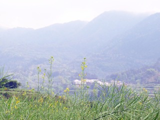 p1170077_副本.jpg
