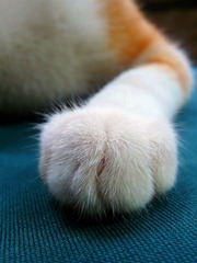 P1090053_副本.jpg
