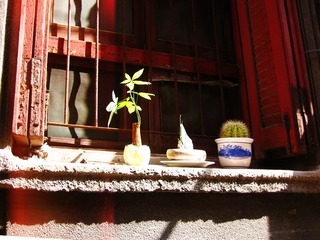 IMG_0124.jpg