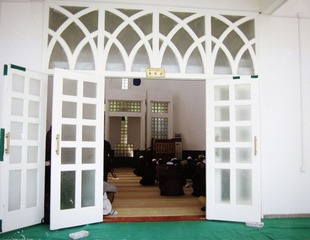 IMG_0310.jpg