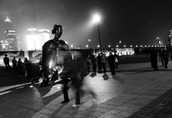P1190178.jpg