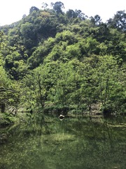C708777E-4072-4306-80DA-219E10781C32/L0/001