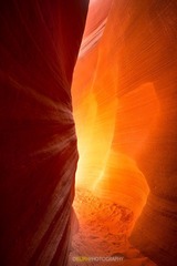 _DSC9509.jpg