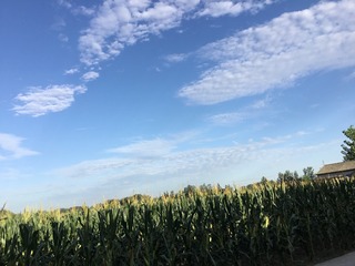 B24863A8-3C6F-4057-BB34-E325815F3293/L0/001