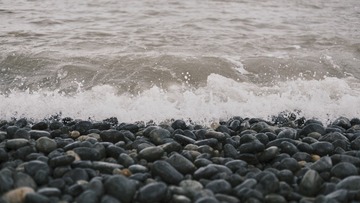 D2D6E889-6A7B-4807-B7FE-8CC77999AA6E/L0/001