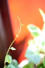 579E0553.JPG
