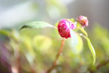 579E0512.JPG
