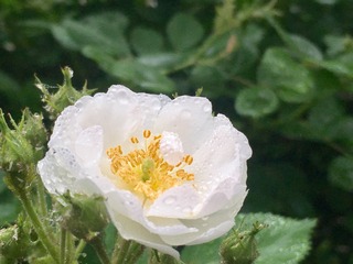 C9443C13-03ED-422F-94DB-0F210C2283E3/L0/001