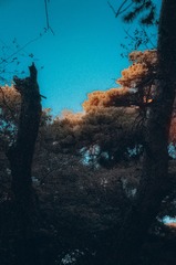 753317