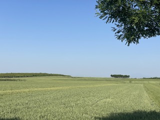 10EA496F-0608-45AC-B209-DB9EBF69E89B/L0/001