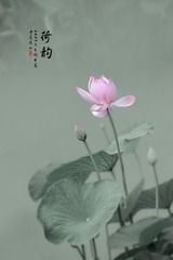 1000015518