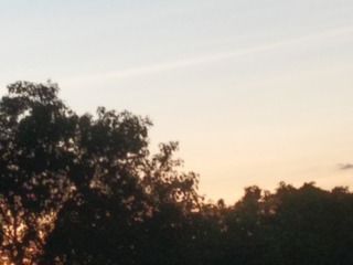 1860161