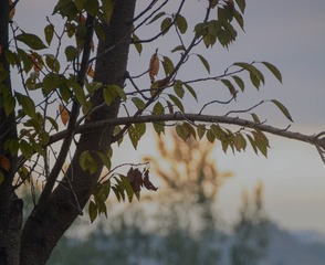 F3F53EFA-45FC-49AC-AB88-AC69F83BDAB6/L0/001
