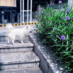 08AE2214-6A15-4F49-9A1C-3817AB421684/L0/001