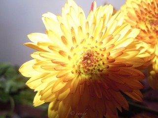 96316B70-BA15-4F98-8A59-B3D843B34CDC/L0/001