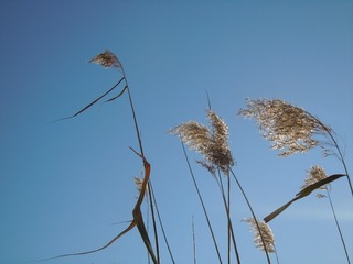 15E3AFCF-2D98-4B6F-A558-F2ED3810C235/L0/001