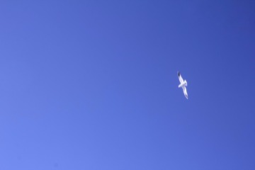 1067144