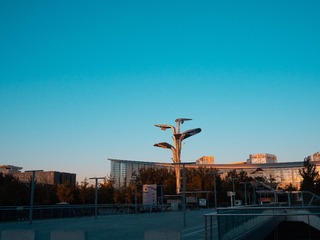 955687