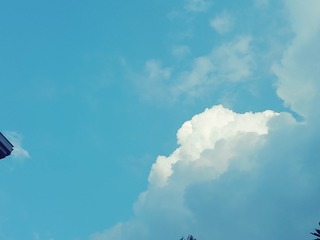 1605687