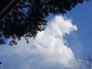 1605688