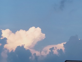 1690015