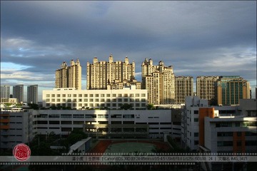 IMG_3415.jpg