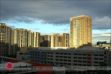 IMG_3416.jpg