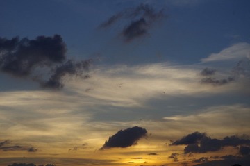 IMGP1626.JPG