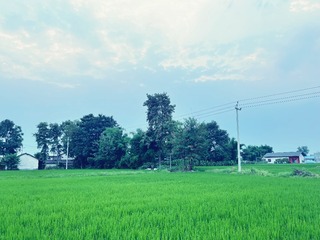 5B3301FE-17C8-44E6-861D-A61708186B21/L0/001
