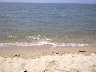 063020121405.jpg