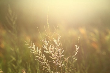 IMG_9839.JPG