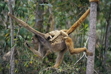 IMG_2958_