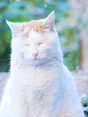 15604