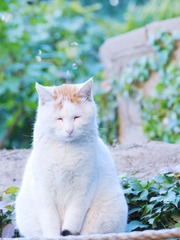 15601