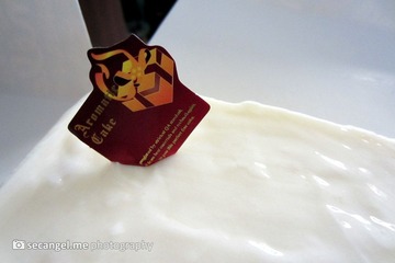 IMG_0834.jpg