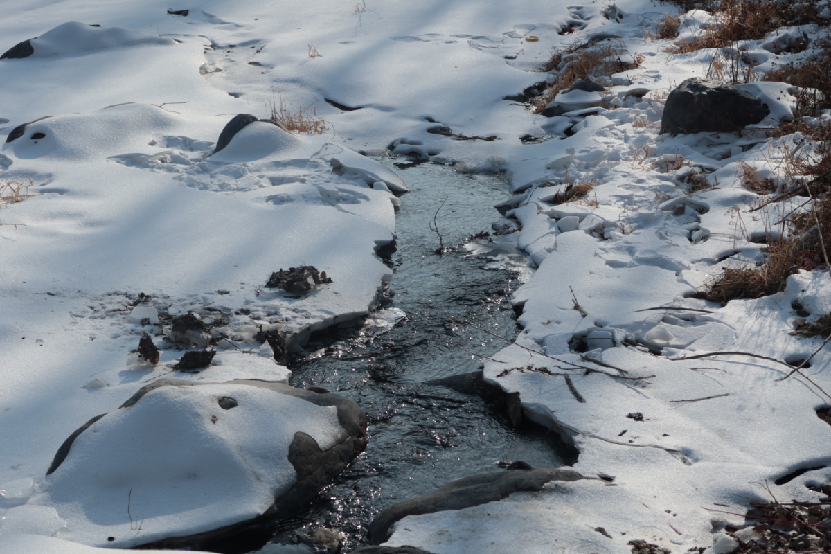 初春的冰雪融化